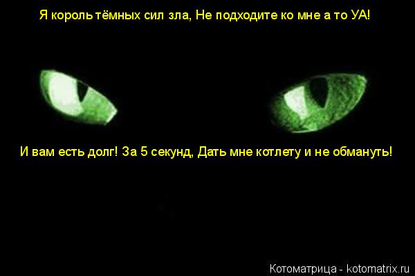 Котоматрица: Я король тёмных сил зла, Не подходите ко мне а то УА! И вам есть долг! За 5 секунд, Дать мне котлету и не обмануть!