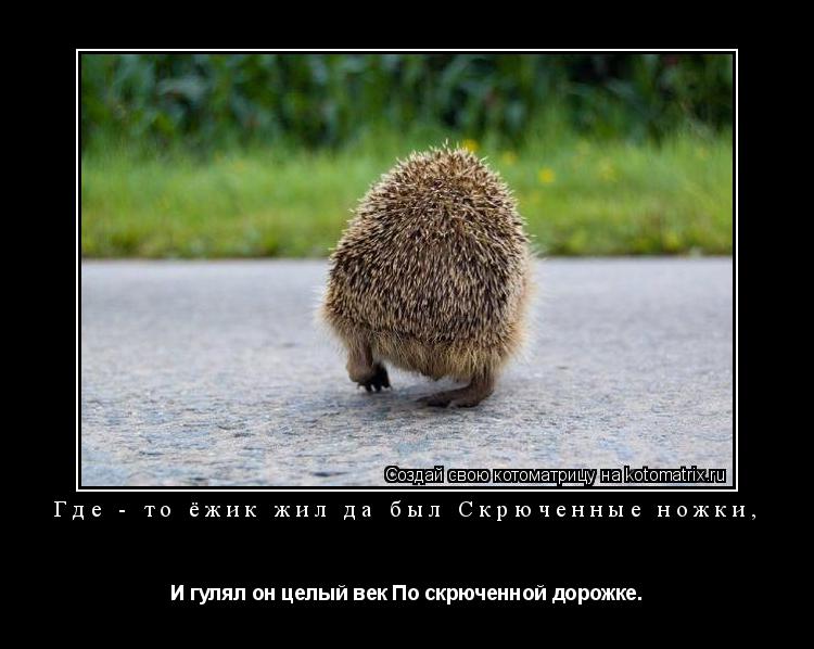 Где - то ёжик жил да был Скрюченные ножки, И гулял он целый век По скрюченной дорожке.... Котоматрица: Где - то ёжик жил да был Скрюченные ножки, И гулял он целый век По скрюченной дорожке.