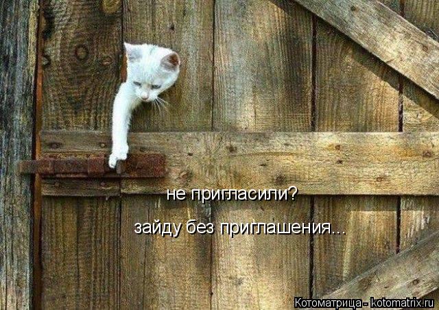 не пригласили? зайду без приглашения...... Котоматрица: не пригласили? зайду без приглашения...