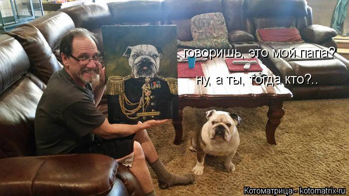 говоришь, это мой папа? ну, а ты, тогда кто?..... Котоматрица: говоришь, это мой папа? ну, а ты, тогда кто?..