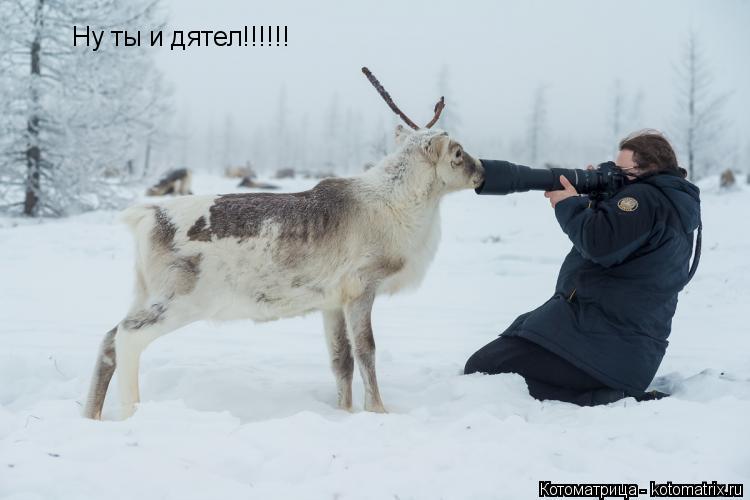 Ну ты и дятел!!!!!!... Котоматрица: Ну ты и дятел!!!!!!