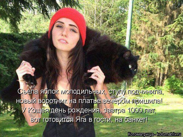 Съела яблок молодильных, ступу подчинила, новый воротник на платье вечером пришила! У Кощея день рожд... Котоматрица: Съела яблок молодильных, ступу подчинила, новый воротник на платье вечером пришила! У Кощея день рождения, завтра 1000 лет, вот готовится Яга
