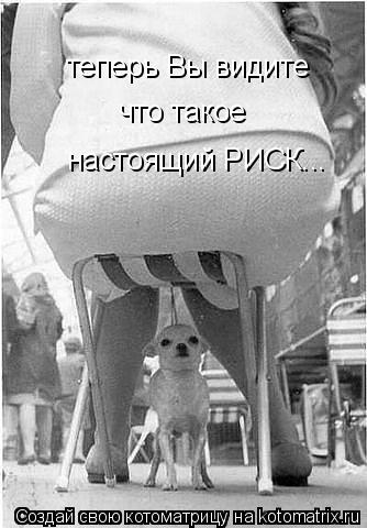 теперь Вы видите что такое настоящий РИСК...... Котоматрица: теперь Вы видите что такое настоящий РИСК...