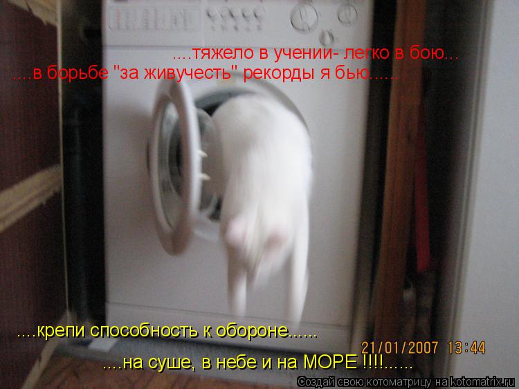 ....тяжело в учении- легко в бою... ....в борьбе "за живучесть" рекорды я бью...... ....крепи способн... Котоматрица: ....тяжело в учении- легко в бою... ....в борьбе "за живучесть" рекорды я бью...... ....крепи способность к обороне...... ....на суше, в небе и на МОРЕ !!!!......