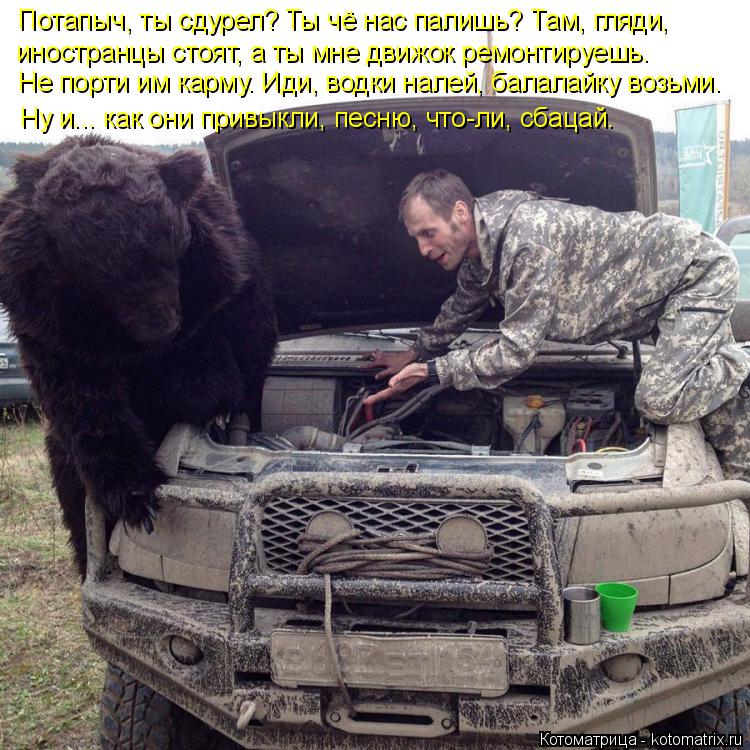 Потапыч, ты сдурел? Ты чё нас палишь? Там, гляди, иностранцы стоят, а ты мне движок ремонтируешь. Не ... Котоматрица: Потапыч, ты сдурел? Ты чё нас палишь? Там, гляди, иностранцы стоят, а ты мне движок ремонтируешь. Не порти им карму. Иди, водки налей, балалайку