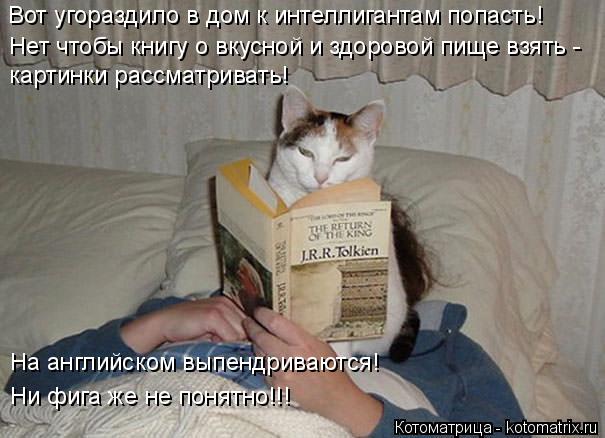 Вот угораздило в дом к интеллигантам попасть! Нет чтобы книгу о вкусной и здоровой пище взять - карти... Котоматрица: Вот угораздило в дом к интеллигантам попасть! Нет чтобы книгу о вкусной и здоровой пище взять - картинки рассматривать! На английском выпен