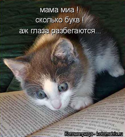 мама миа ! сколько букв ! аж глаза разбегаются...... Котоматрица: мама миа ! сколько букв ! аж глаза разбегаются...