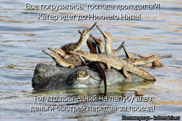Все погрузились, господа крокодилы?! Катер идет до Нижнего Нила! Тот кто последний на палубу влез, де... Котоматрица: Все погрузились, господа крокодилы?! Катер идет до Нижнего Нила! Тот кто последний на палубу влез, деньги быстрей передай за проезд!