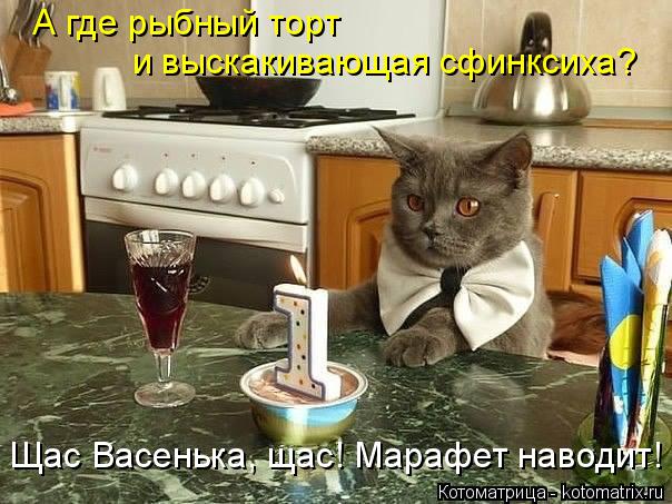 А где рыбный торт и выскакивающая сфинксиха? Щас Васенька, щас! Марафет наводит!... Котоматрица: А где рыбный торт и выскакивающая сфинксиха? Щас Васенька, щас! Марафет наводит!