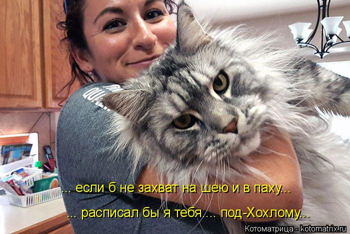 ... если б не захват на шею и в паху... ... расписал бы я тебя.... под-Хохлому...... Котоматрица: ... если б не захват на шею и в паху... ... расписал бы я тебя.... под-Хохлому...