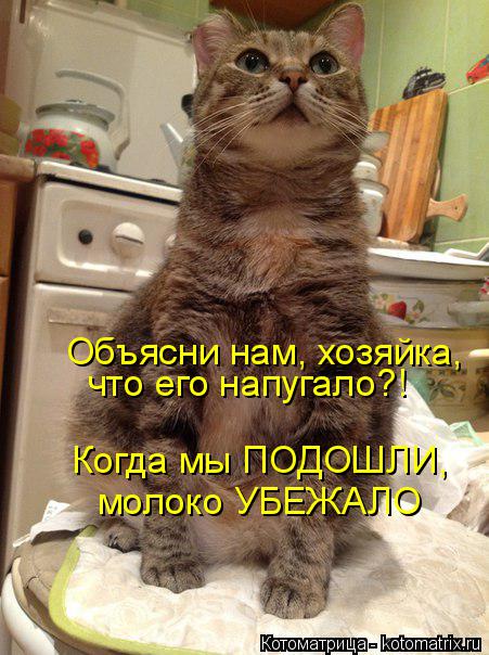 Объясни нам, хозяйка, Когда мы ПОДОШЛИ, молоко УБЕЖАЛО что его напугало?!... Котоматрица: Объясни нам, хозяйка, Когда мы ПОДОШЛИ, молоко УБЕЖАЛО что его напугало?!