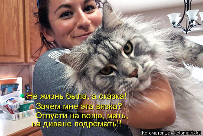 Не жизнь была, а сказка! Зачем мне эта вязка? Отпусти на волю, мать, на диване подремать!!... Котоматрица: Не жизнь была, а сказка! Зачем мне эта вязка? Отпусти на волю, мать, на диване подремать!!
