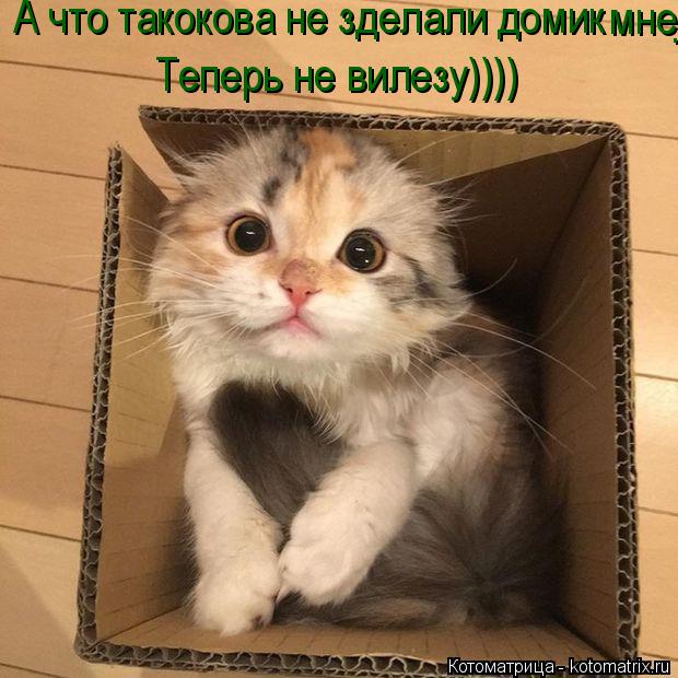 А что такокова не зделали домик А что такокова не зделали домик мне . Теперь не вилезу))))... Котоматрица: А что такокова не зделали домик А что такокова не зделали домик мне . Теперь не вилезу))))