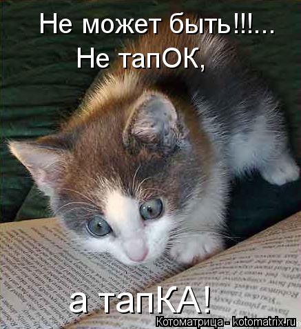 Котоматрица: Не может быть!!!... Не тапОК, а тапКА!