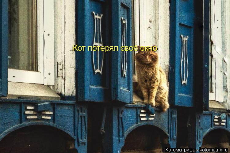 Котоматрица: Кот потерял своё окно