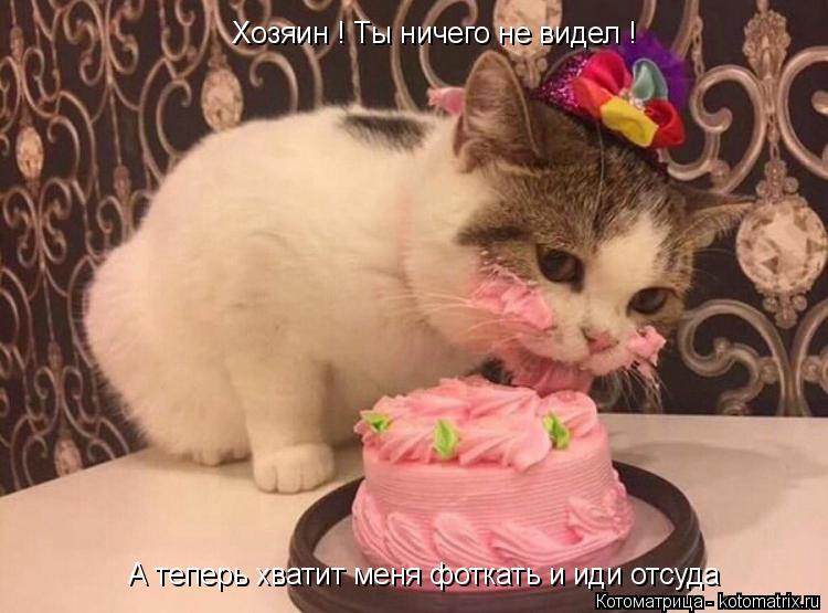 Котоматрица: Хозяин ! Ты ничего не видел ! А теперь хватит меня фоткать и иди отсуда