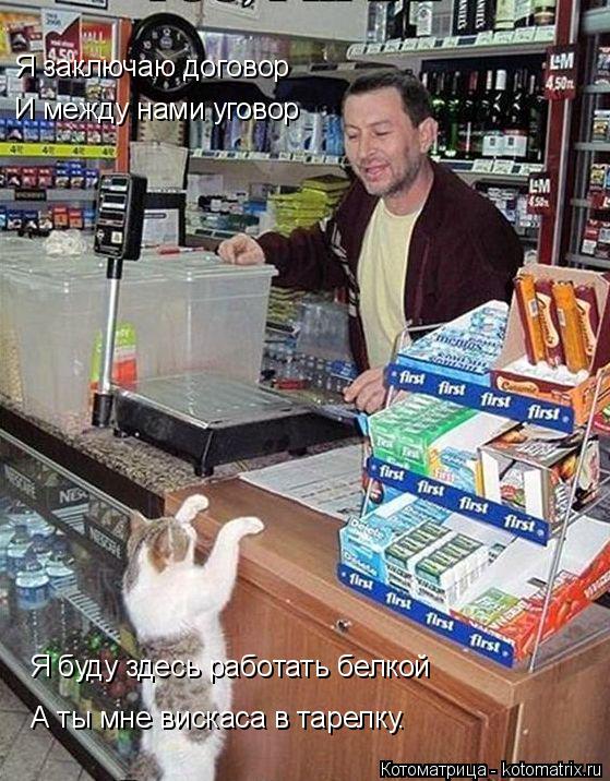 Я заключаю договор И между нами уговор Я буду здесь работать белкой А ты мне вискаса в тарелку.... Котоматрица: Я заключаю договор И между нами уговор Я буду здесь работать белкой А ты мне вискаса в тарелку.