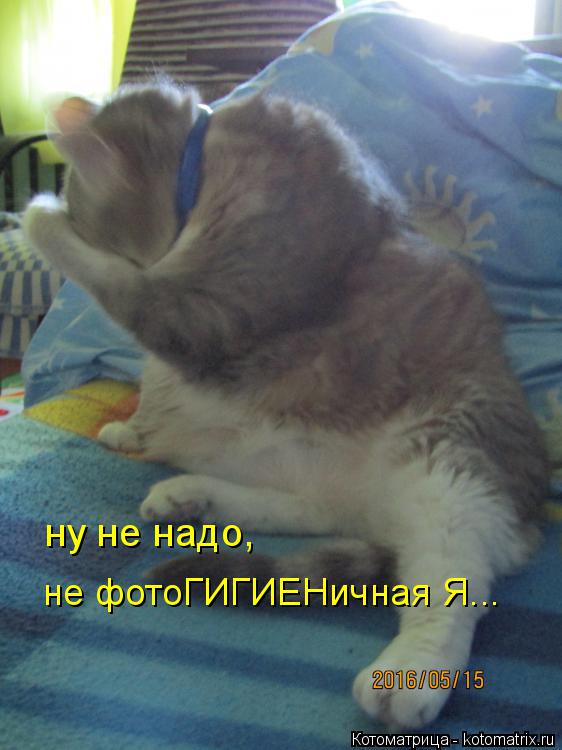 Котоматрица: ну не надо,  не фотоГИГИЕНичная Я...