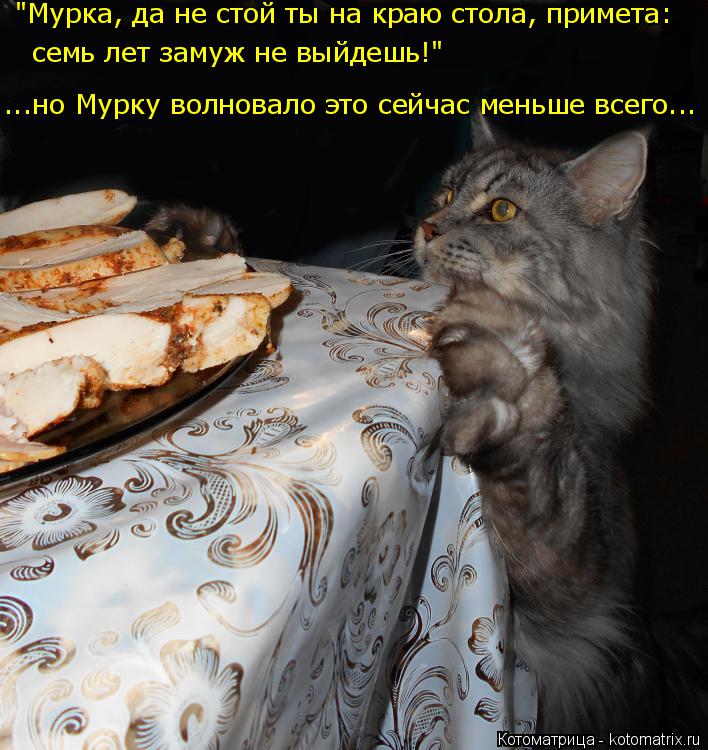 Котоматрица: "Мурка, да не стой ты на краю стола, примета:  семь лет замуж не выйдешь!" ...но Мурку волновало это сейчас меньше всего...