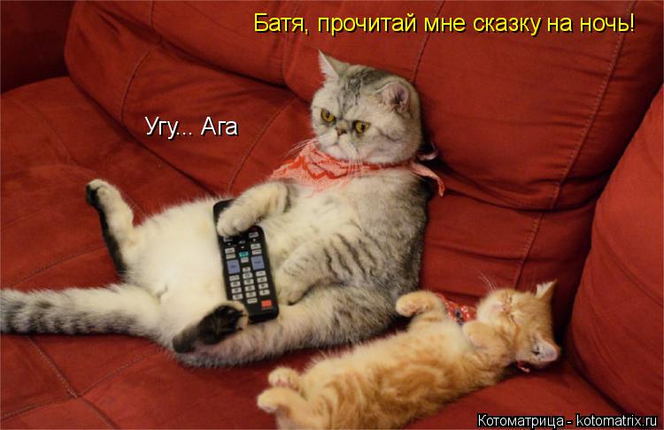 Котоматрица: Батя, прочитай мне сказку на ночь! Угу... Ага