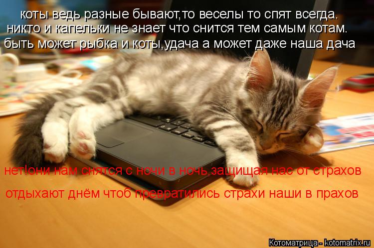 Котоматрица: коты ведь разные бывают,то веселы то спят всегда. никто и капельки не знает что снится тем самым котам. быть может рыбка и коты,удача а может 
