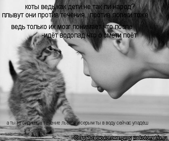 Котоматрица: коты ведь как дети.не так ли народ? плывут они против течения...против логики тоже  ведь только их мозг понимает что после -идёт водопад что о 