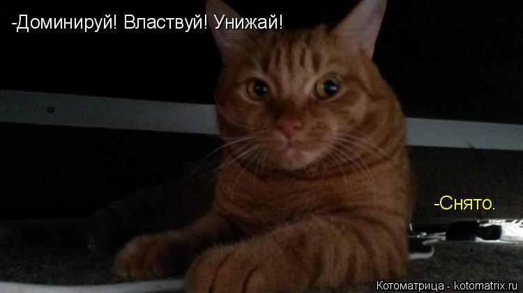 Котоматрица: -Доминируй! Властвуй! Унижай! -Снято.