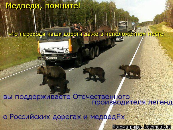 Медведи, помните! что переходя наши дороги даже в неположенном месте вы поддерживаете Oтечественного ... Котоматрица: Медведи, помните! что переходя наши дороги даже в неположенном месте вы поддерживаете Oтечественного производителя легенд о Российских д