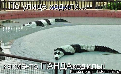 Котоматрица: По улице ходили... какие-то ПАНДАкодилы!
