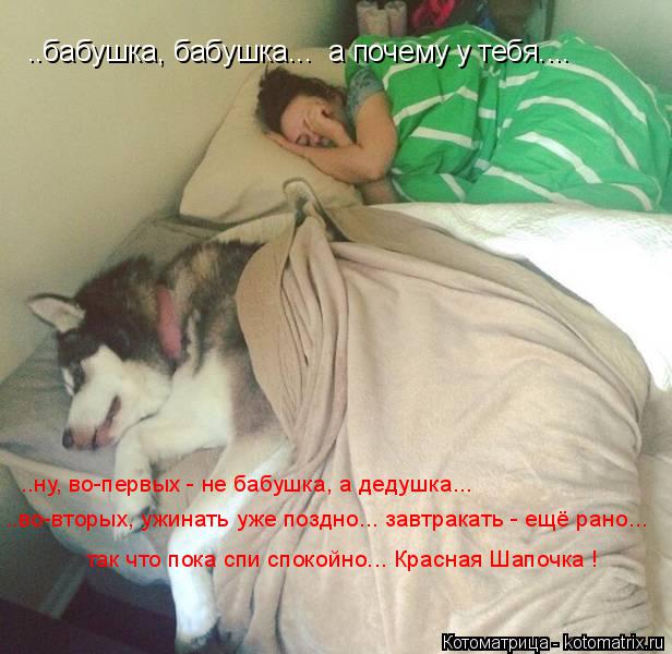 Котоматрица: ..бабушка, бабушка...  а почему у тебя.... ..ну, во-первых - не бабушка, а дедушка... ..во-вторых, ужинать уже поздно... завтракать - ещё рано... так что 