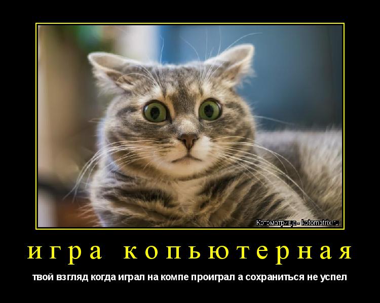 Котоматрица: игра копьютерная твой взгляд когда играл на компе проиграл а сохраниться не успел