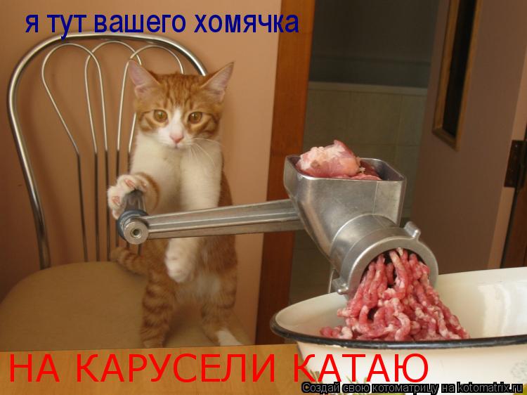 Котоматрица: я тут вашего хомячка  НА КАРУСЕЛИ КАТАЮ