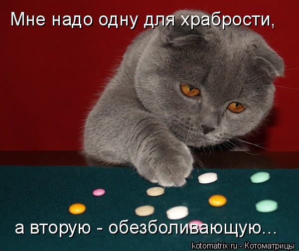 Мне надо одну для храбрости, а вторую - обезболивающую...... Котоматрица: Мне надо одну для храбрости, а вторую - обезболивающую...