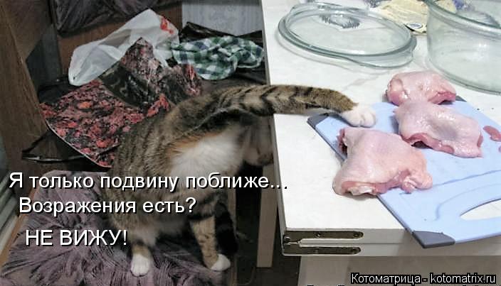 Я только подвину поближе... НЕ ВИЖУ! Возражения есть?... Котоматрица: Я только подвину поближе... НЕ ВИЖУ! Возражения есть?