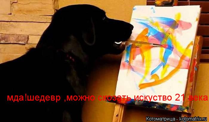 Котоматрица: мда!шедевр ,можно скозать искуство 21 века