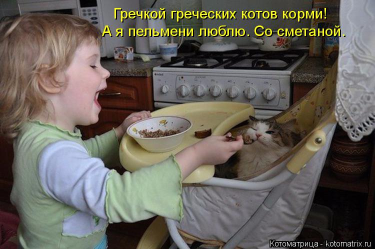 Котоматрица: Гречкой греческих котов корми! А я пельмени люблю. Со сметаной.