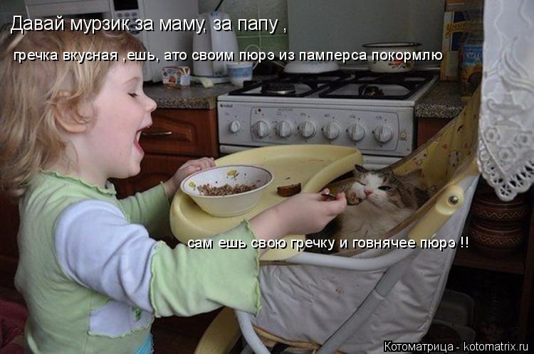 Котоматрица: Давай мурзик за маму, за папу , гречка вкусная ,ешь, ато своим пюрэ из памперса покормлю сам ешь свою гречку и говнячее пюрэ !!