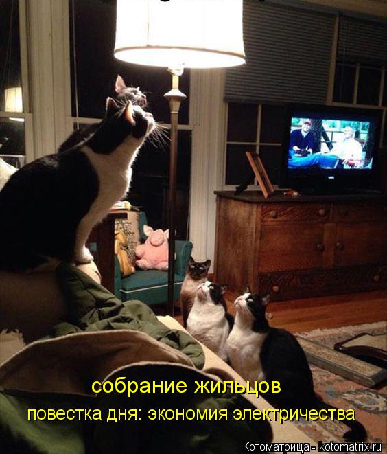 Котоматрица: повестка дня: экономия электричества собрание жильцов