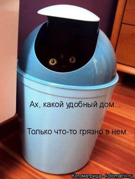 Ах, какой удобный дом... Только что-то грязно в нем...... Котоматрица: Ах, какой удобный дом... Только что-то грязно в нем...