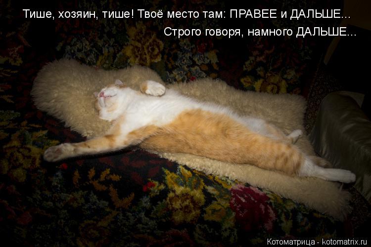 Котоматрица: Тише, хозяин, тише! Твоё место там: ПРАВЕЕ и ДАЛЬШЕ... Строго говоря, намного ДАЛЬШЕ...