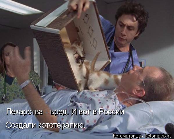 Котоматрица: Лекарства - вред. И вот в России Создали кототерапию.