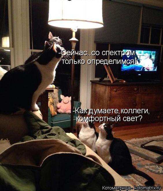 Котоматрица: -Как думаете,коллеги, комфортный свет? -Сейчас..со спектром  только определимся!