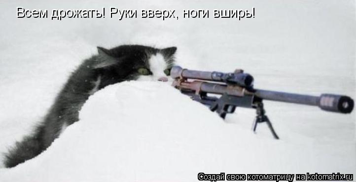 Котоматрица: Всем дрожать! Руки вверх, ноги вширь!