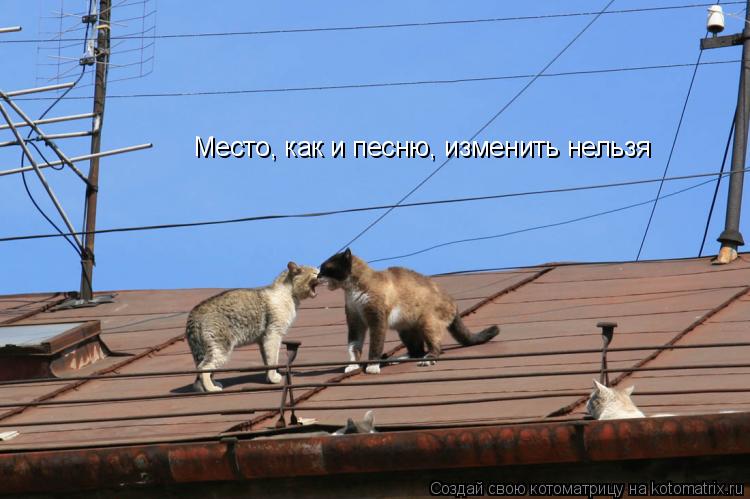 Котоматрица: Место, как и песню, изменить нельзя