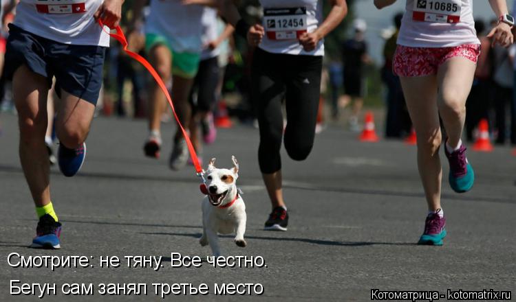 Котоматрица: Бегун сам занял третье место Смотрите: не тяну. Все честно.