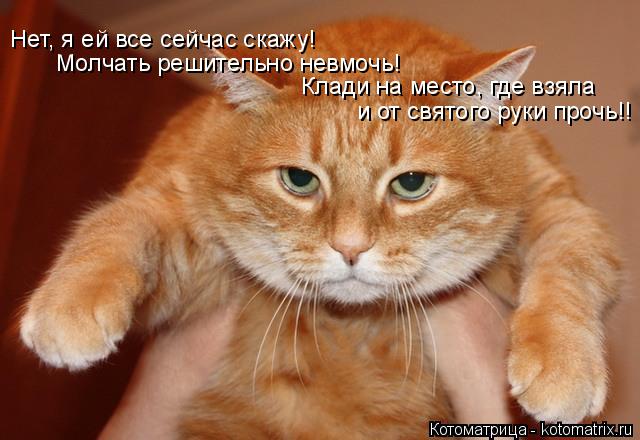 Котоматрица: Нет, я ей все сейчас скажу!  Молчать решительно невмочь! Клади на место, где взяла   и от святого руки прочь!!