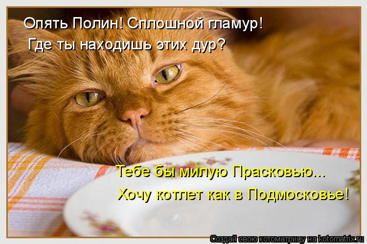 Котоматрица: Опять Полин! Сплошной гламур! Где ты находишь этих дур? Тебе бы милую Прасковью... Хочу котлет как в Подмосковье!
