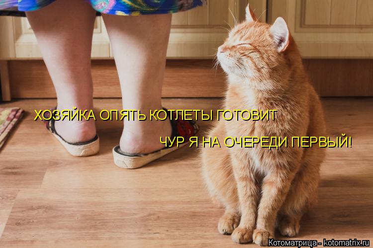 Котоматрица: ХОЗЯЙКА ОПЯТЬ КОТЛЕТЫ ГОТОВИТ  ЧУР Я НА ОЧЕРЕДИ ПЕРВЫЙ!