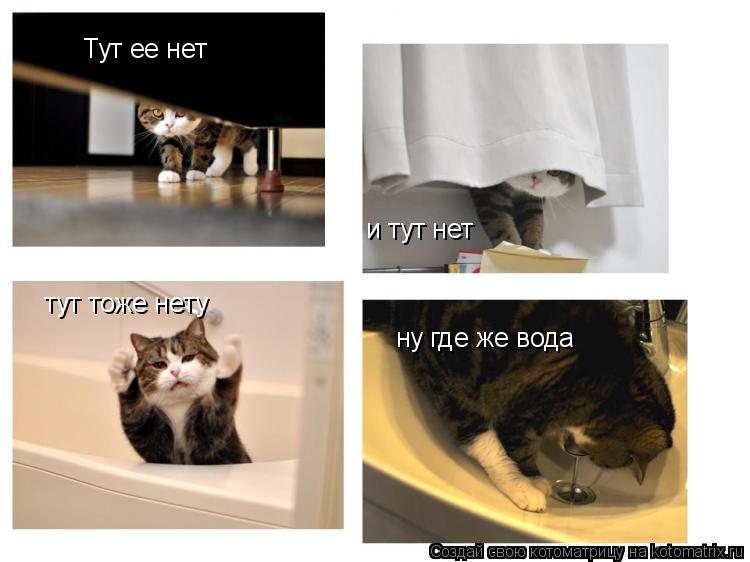Котоматрица: Тут ее нет и тут нет тут тоже нету ну где же вода