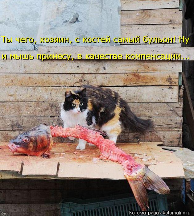 Котоматрица: и мышь принесу, в качестве компенсации... Ты чего, хозяин, с костей самый бульон! Ну